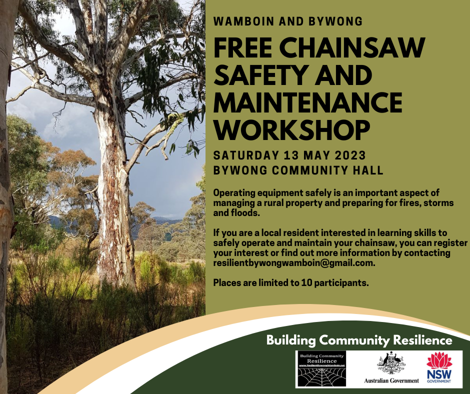 Chainsaw Safety